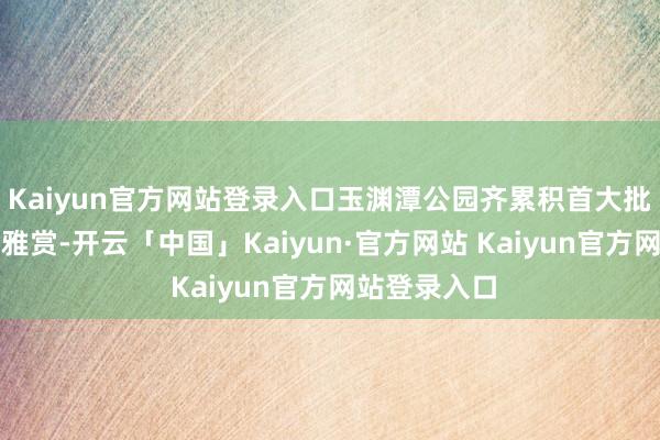 Kaiyun官方网站登录入口玉渊潭公园齐累积首大批旅客进行不雅赏-开云「中国」Kaiyun·官方网站 Kaiyun官方网站登录入口