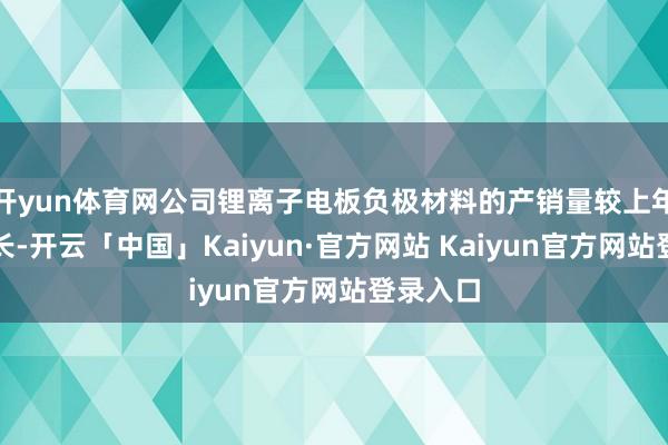 开yun体育网公司锂离子电板负极材料的产销量较上年权贵增长-开云「中国」Kaiyun·官方网站 Kaiyun官方网站登录入口