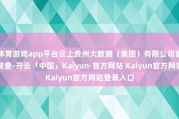 体育游戏app平台云上贵州大数据（集团）有限公司董事长徐昊被
