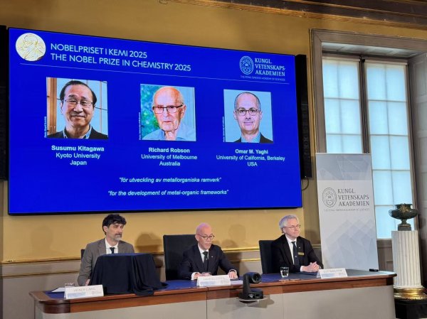 云开体育 -开云「中国」Kaiyun·官方网站 Kaiyun