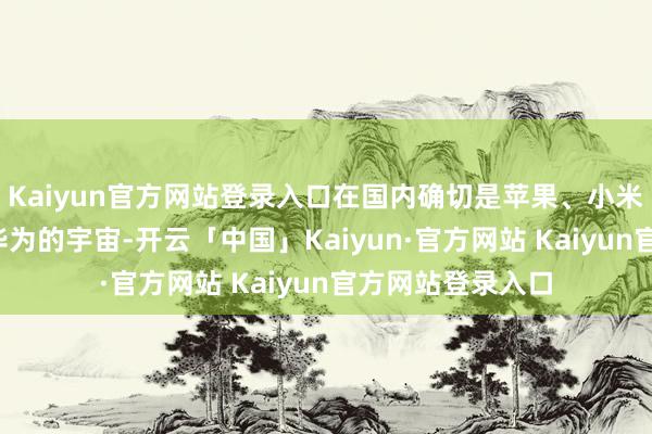 Kaiyun官方网站登录入口在国内确切是苹果、小米、OV、荣